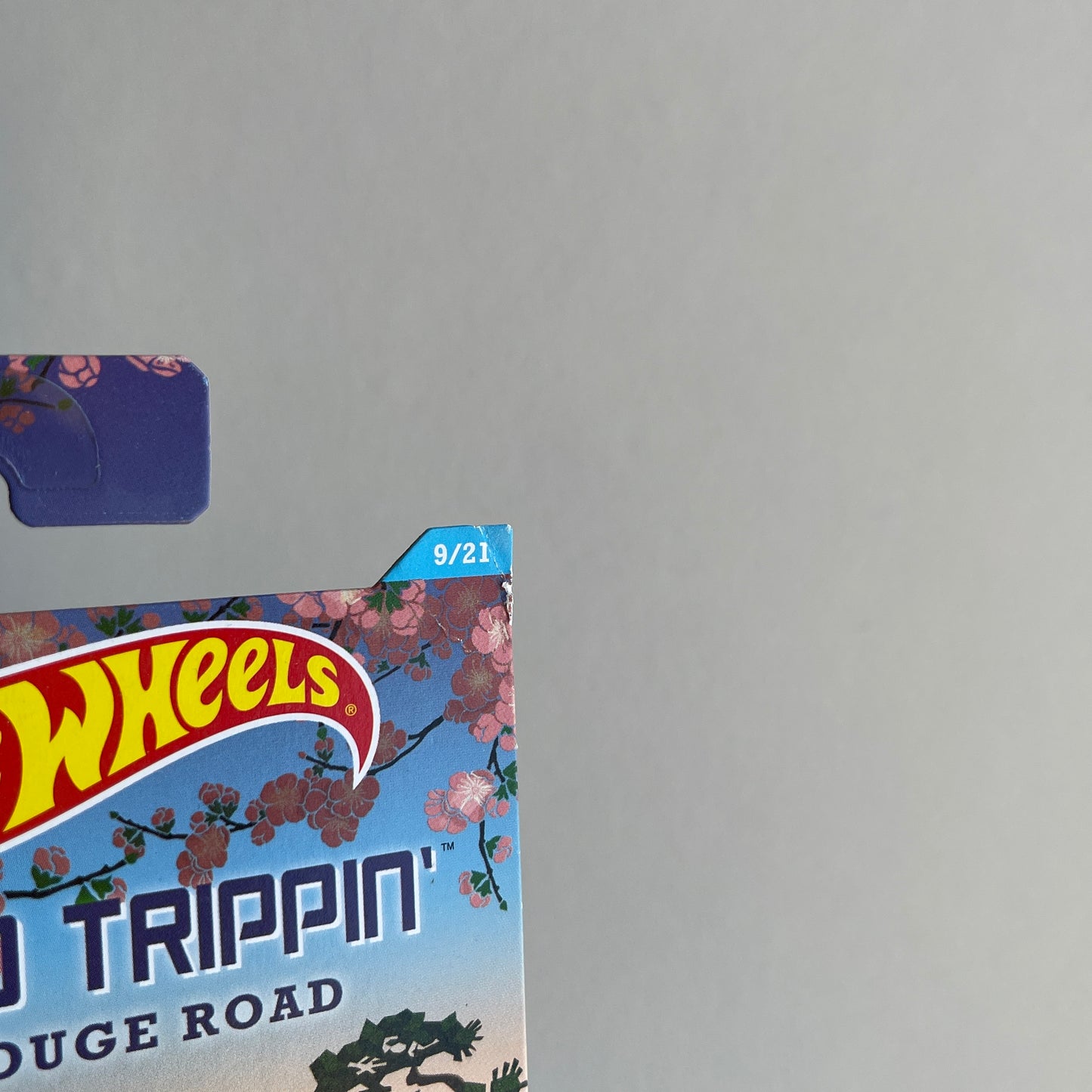 Hot Wheels Nissan Skyline GTR (R34) (Purple) Long Card (Damaged) HW Road Trippin' Mt. Fuji Touge Road